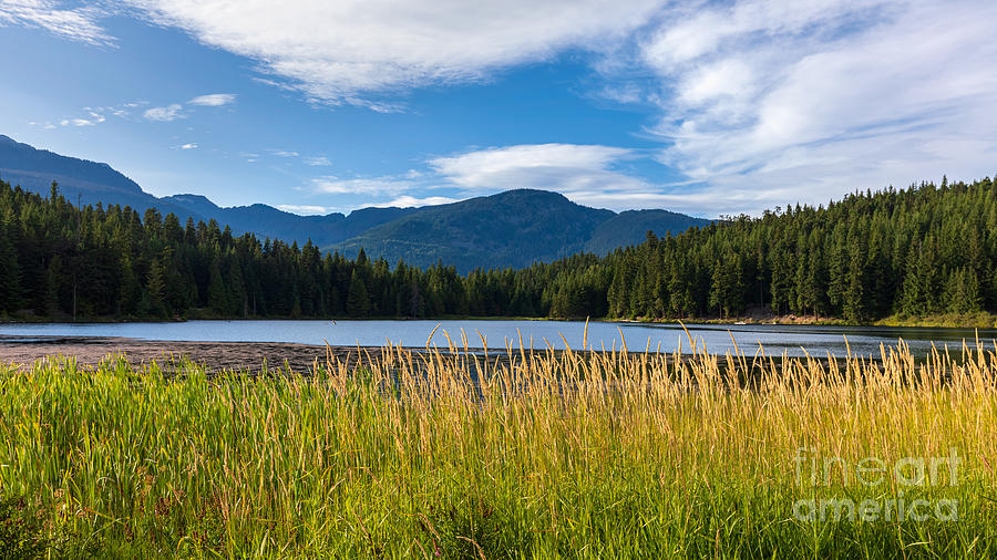 Lost Lake by Alma Danison Lost Lake by Alma Danison