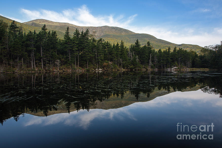 Lost Pond - White Mountains New Hampshire USA Photograph by Erin Paul Donovan