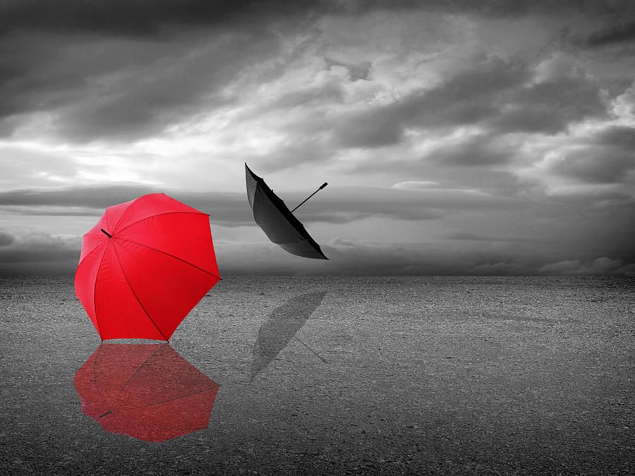 Lost - Red And Black Umbrellas Photograph by Gill Billington
