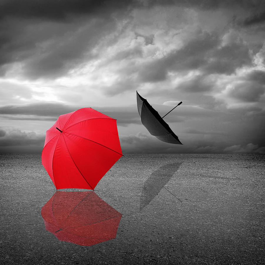 Lost - Red And Black Umbrellas Square Photograph by Gill Billington