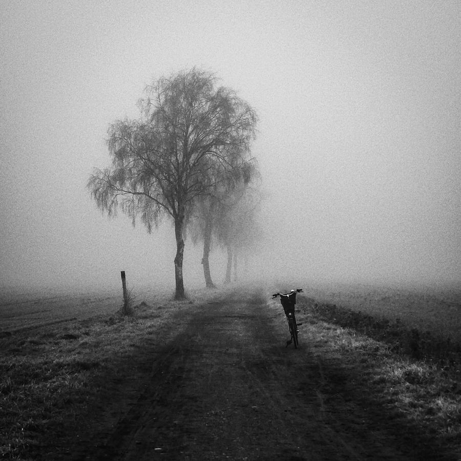 Lost Photograph by Renate Wasinger