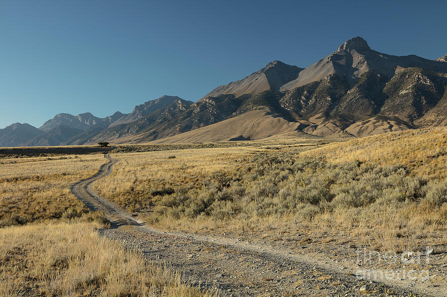 Lost River Range Road Photograph by Idaho Scenic Images Linda Lantzy