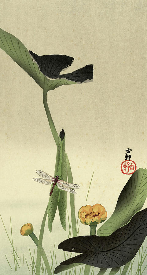 Lotus Painting - Lotus, 1930 by Ohara Koson Lotus Painting - Lotus, 1930 by Ohara Koson
