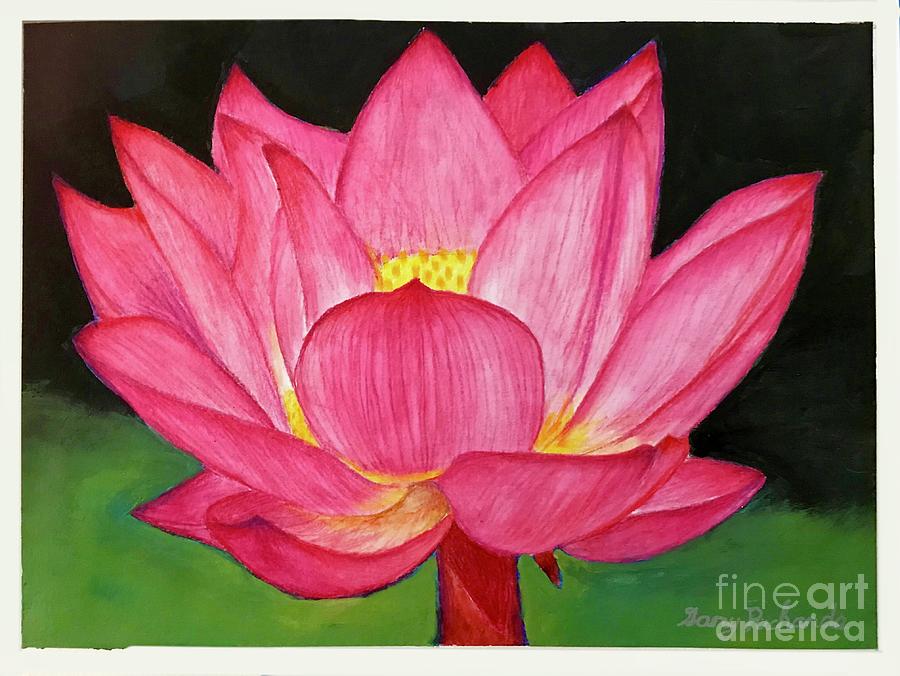 Lotus Original Painting, Mixed Media Art: Colored Pencil Flower Drawing and  Acrylic Space Background, Spiritual Art, Small Artwork - Etsy