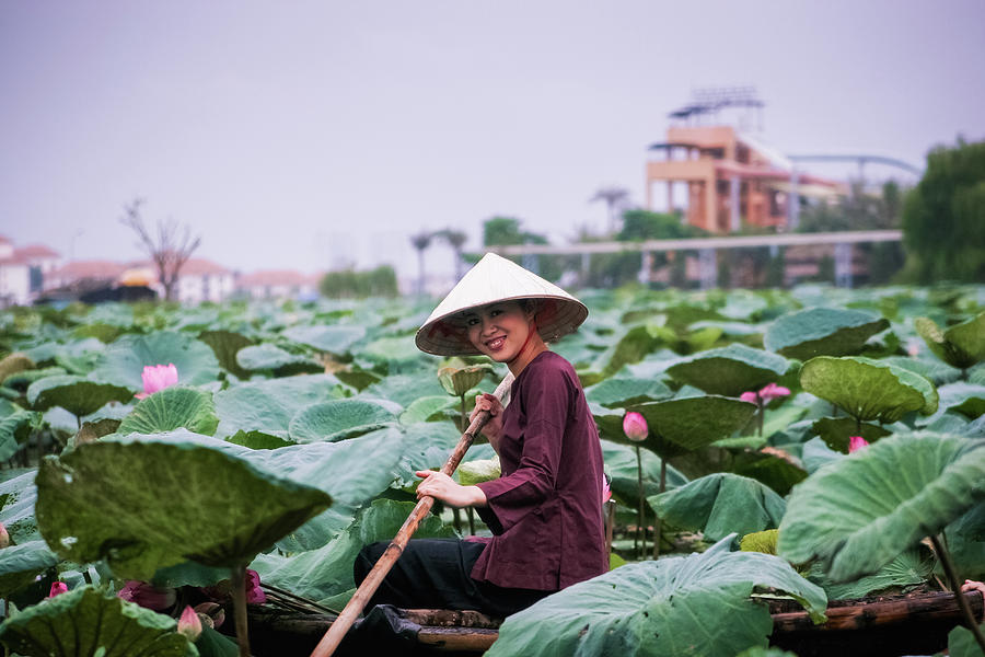 Lotus Flower Harvesting - Hanoi, Vietnam Photograph by 117 Imagery