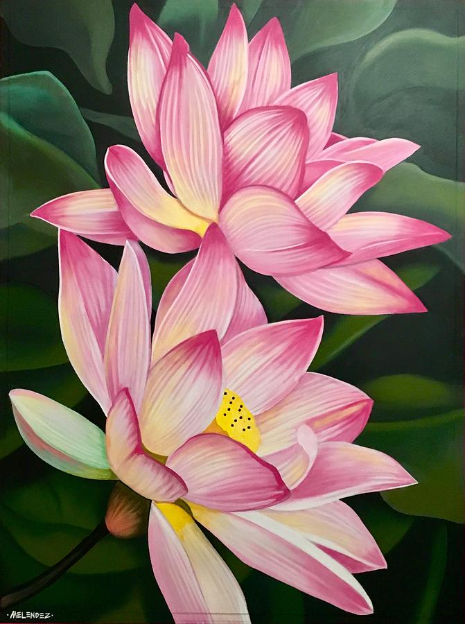 lotus flower art