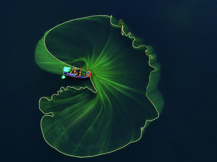 Boat Photograph - Lotus Leaf On The Sea by Nguyen Tan Tuan