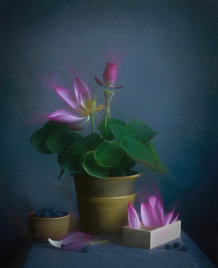 Flower Photograph - Lotus Mood by Fangping Zhou