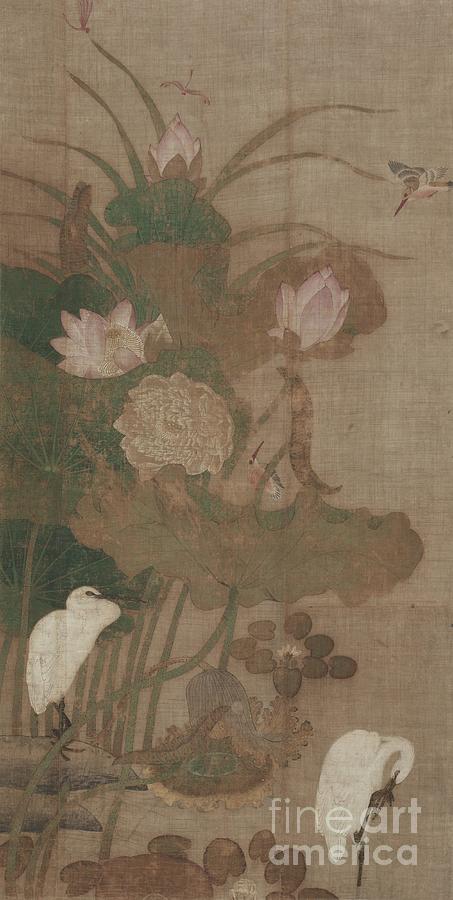Lotuses Drawing by Heritage Images