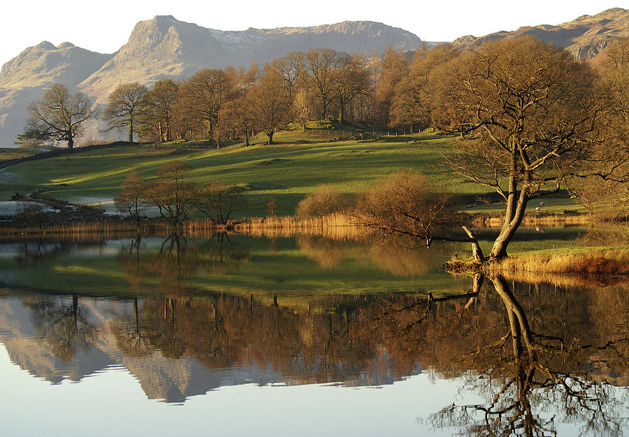 Nature Photograph - Loughrigg Tarn by Terry Roberts Photography
