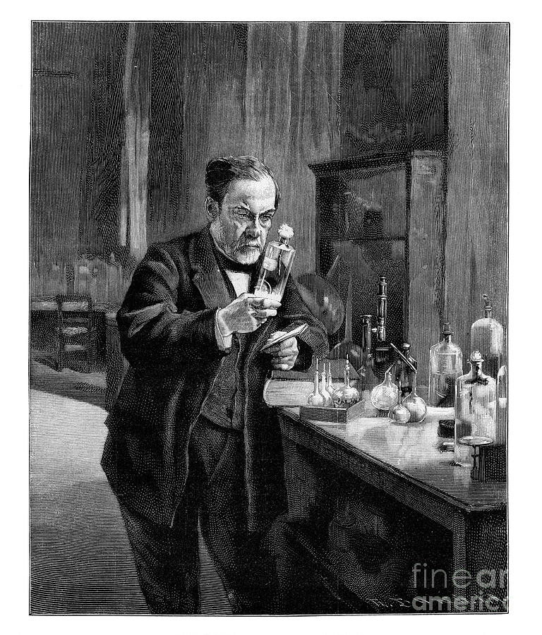 Black And White Drawing - Louis Pasteur, 19th Century French by Print Collector