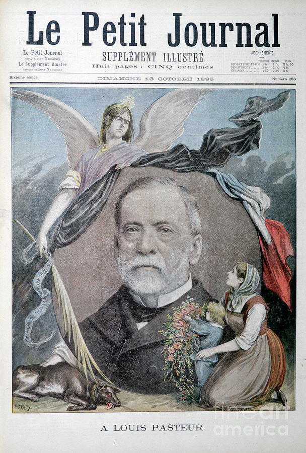 Louis Pasteur, French Chemist, 1895 Drawing by Print Collector