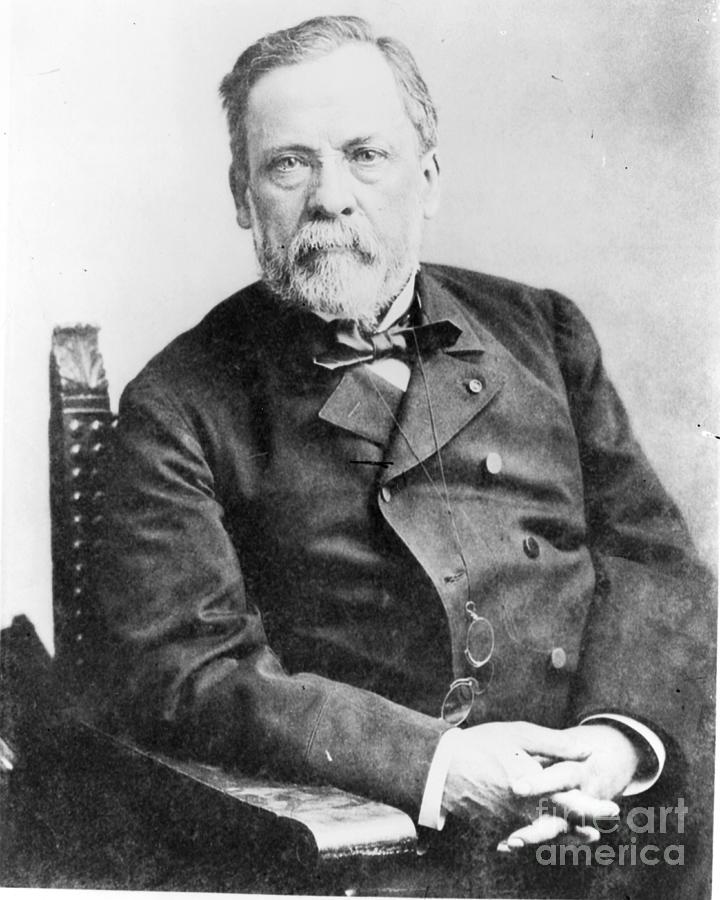 Louis Pasteur Photograph by French Photographer - Fine Art America