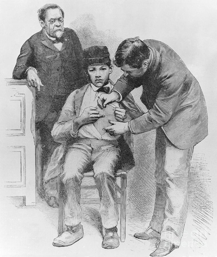 Louis Pasteur Observing Injection Photograph by Bettmann
