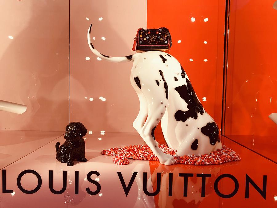 louis vuitton dog bone