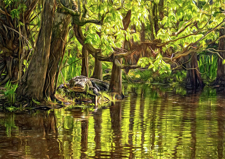 Alligator Photograph - Louisiana Bayou - Paint by Steve Harrington
