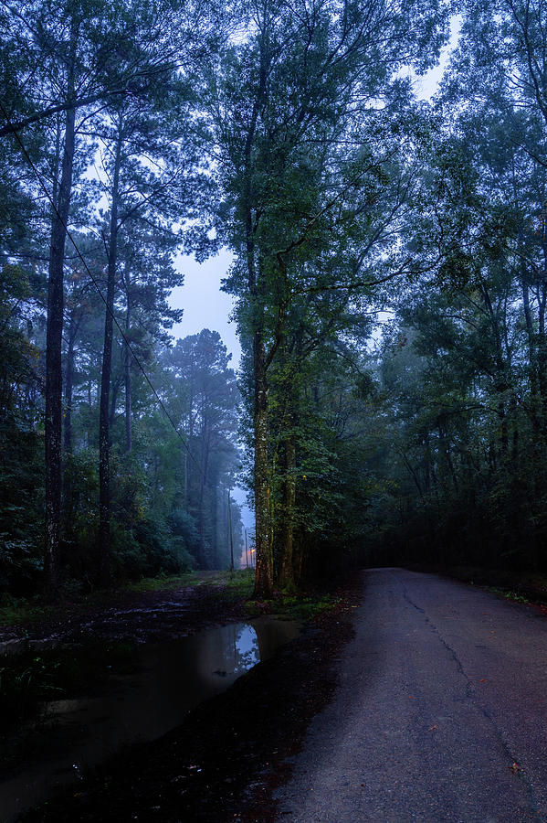 Louisiana Dawn Photograph by DiGiovanni Photography