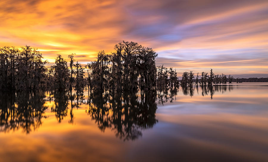 Louisiana, Lake Martin-84014 Photograph by Raimondo Restelli