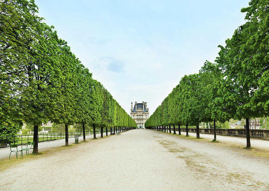 Louvre In  Paris Photograph by Nikada