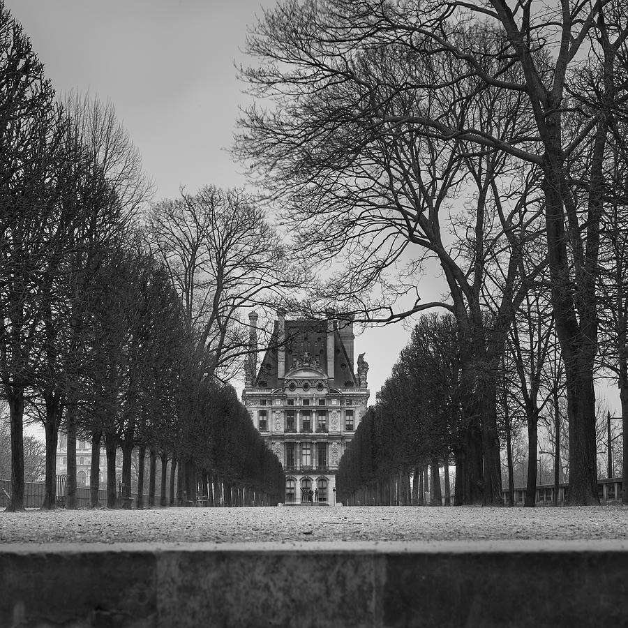 Paris Photograph - Louvre S2 by Moises Levy