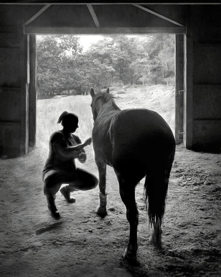 Love and Patience - Horse and Groom Photograph by Nikolyn McDonald