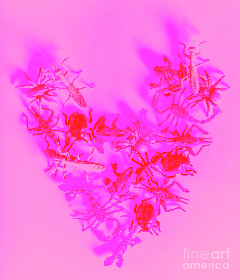 Love Bug Pop Heart Photograph