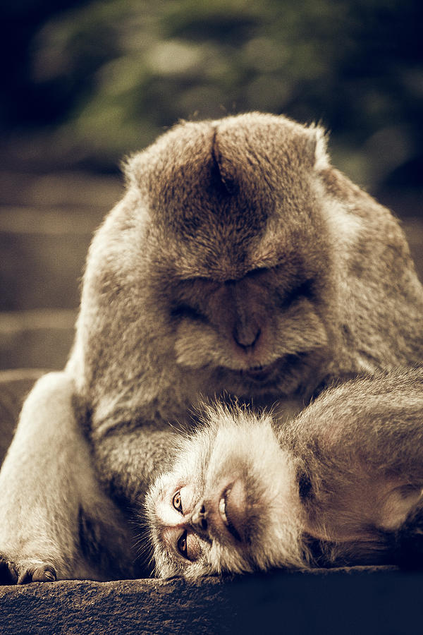 Uluwatu Photograph - Love by Felipe Queriquelli Uluwatu Photograph - Love by Felipe Queriquelli