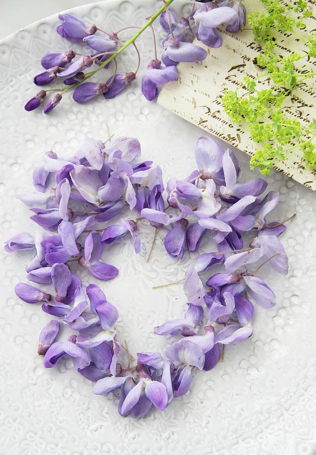 Love-heart Made From Wisteria Florets Photograph by Martina Schindler