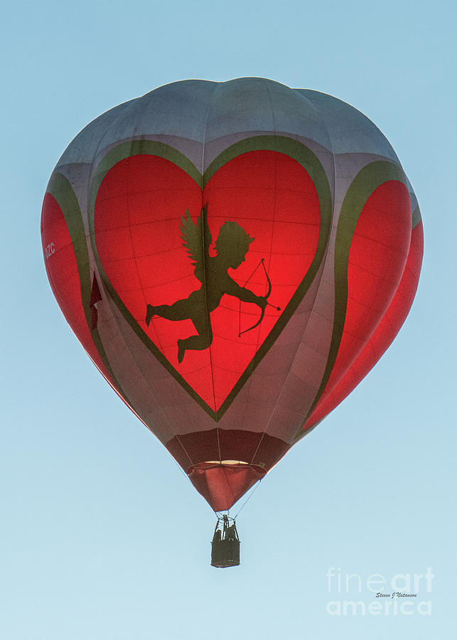 Love is in the Air Photograph by Steven Natanson
