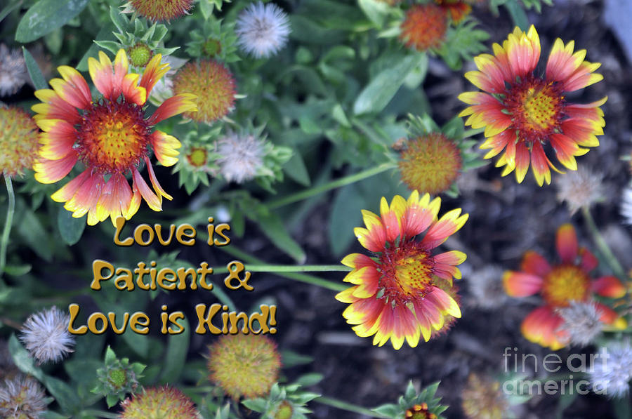Love Is Patient and Love Is Kind Photograph by Lydia Holly