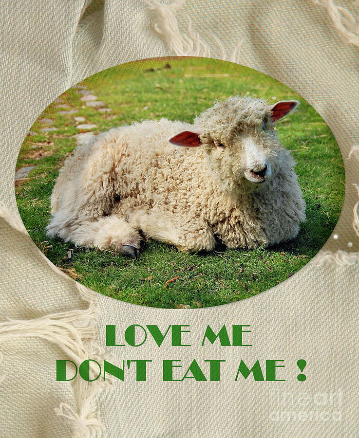 Love Me ...  Dont Eat Me Digital Art by Elaine Manley