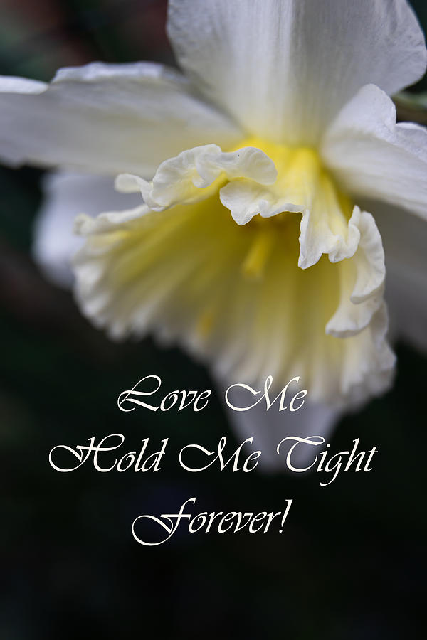 Love Me Forever Daffodil Fringed Photograph by Norma Brandsberg