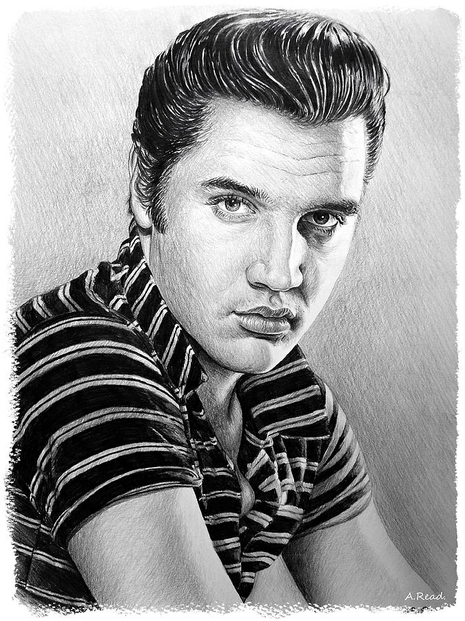 Love me Tender Drawing by Andrew Read