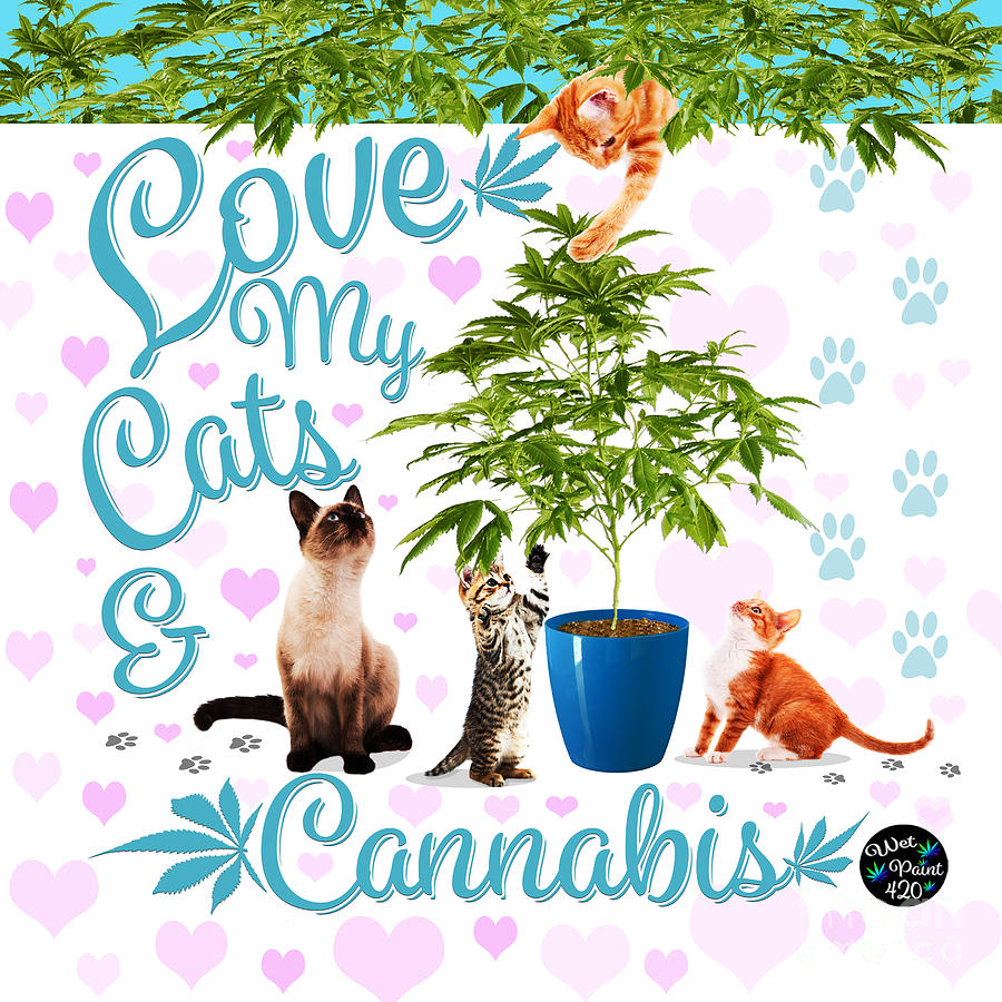 Love My Cats and Cannabis Digital Art by WetPaint420 - Fine Art America