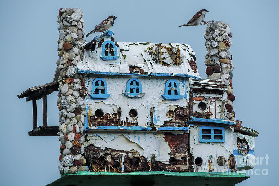 Love My House by Randy J Heath Love My House by Randy J Heath
