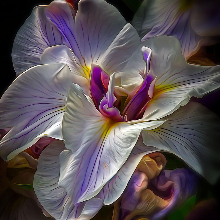 Love Of Iris Photograph by Jeff Krewson