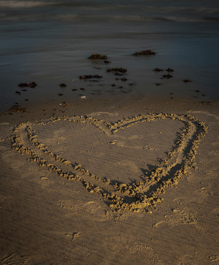 Love on the Beach Photograph by Vicky Edgerly