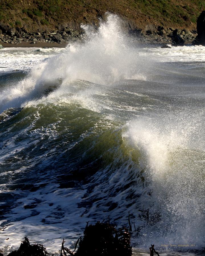 Love Sonoma County Seascapes Photograph by Richard Thomas