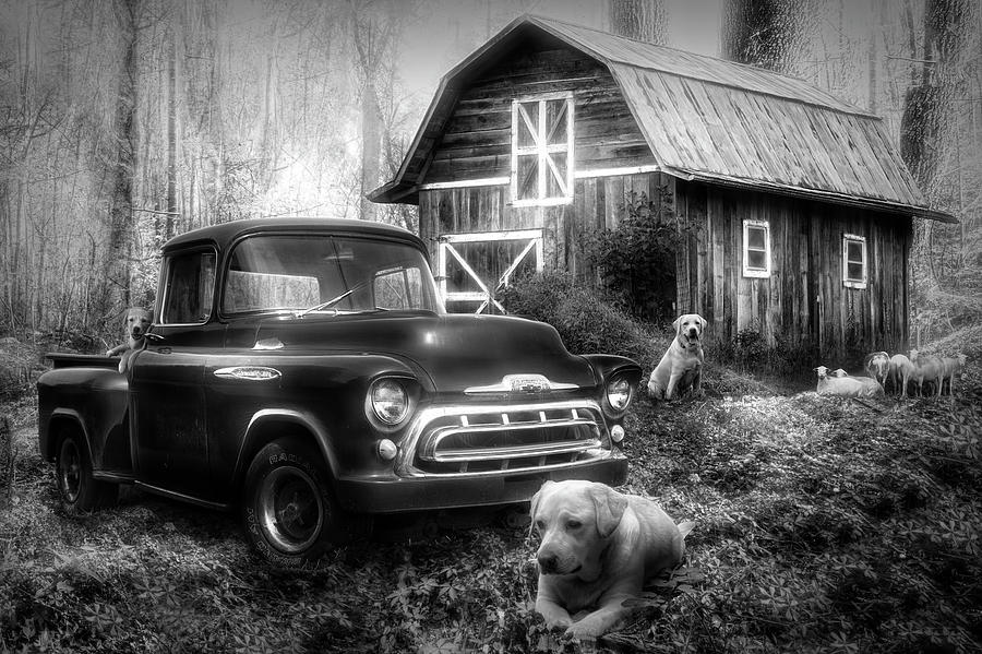 Love that Old Truck at Springtime Black and White Photograph by Debra and Dave Vanderlaan