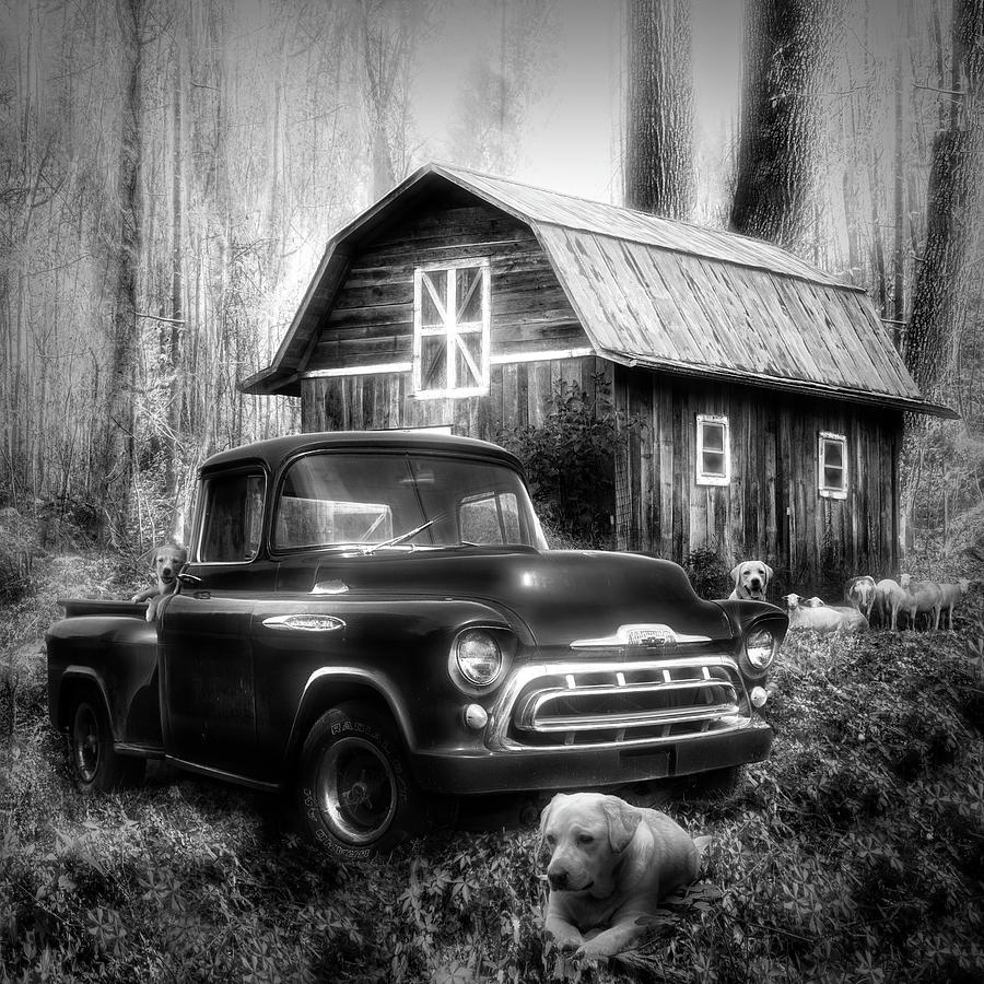 Love that Old Truck at Springtime Black and White in Square Photograph by Debra and Dave Vanderlaan