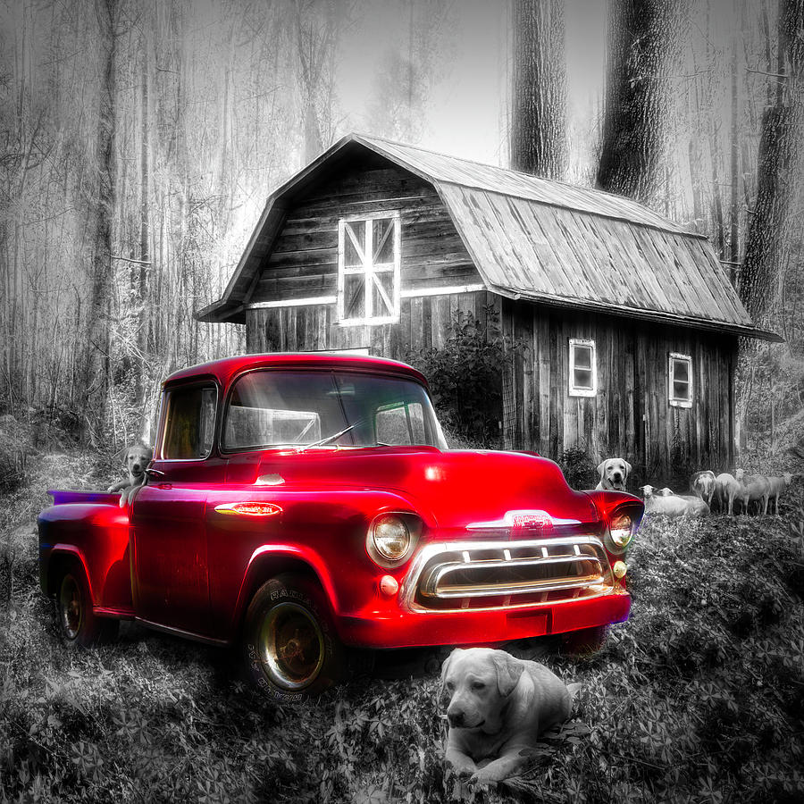 Love that Red Truck at Springtime Black and White in Square Photograph by Debra and Dave Vanderlaan