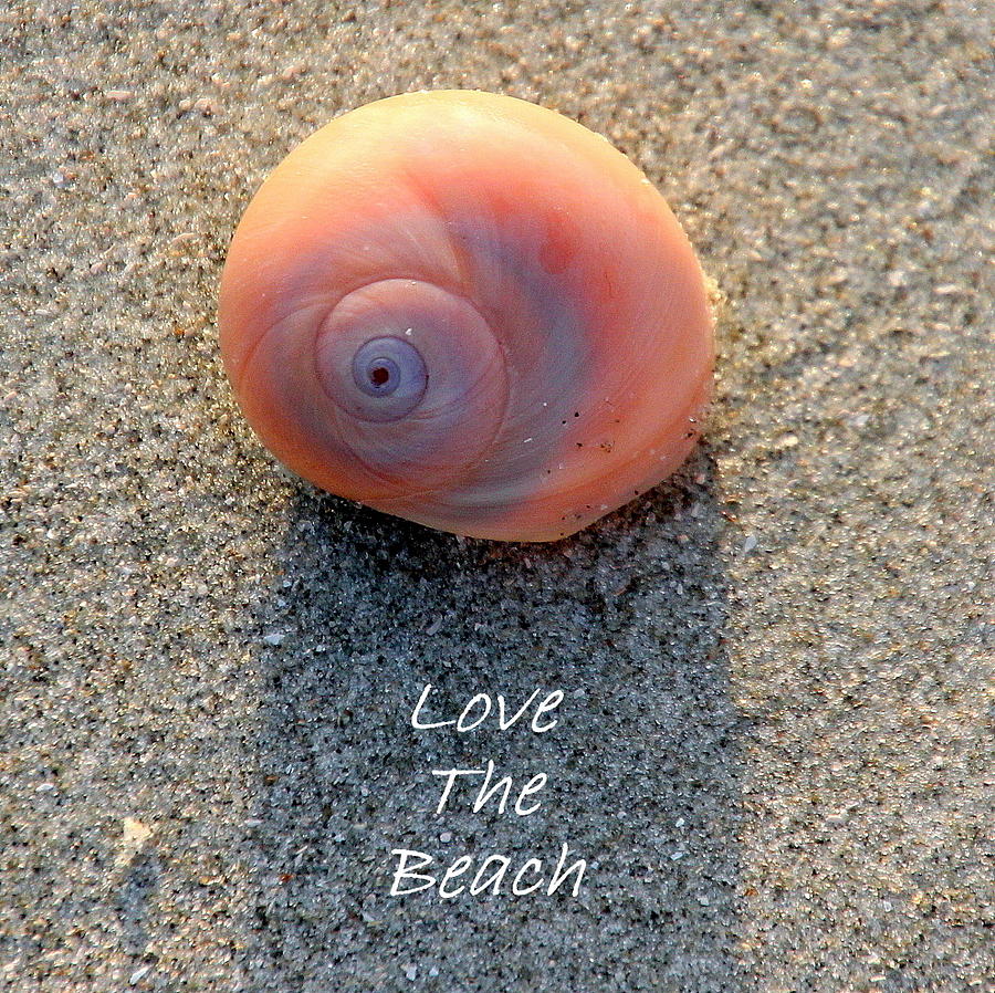 Seashell Photograph - Love the Beach by Rosanne Jordan