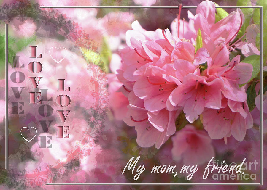Lovely Azaleas for Mom Photograph by Karen Beasley