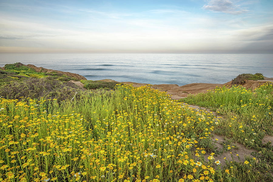 Lovely Bloom At The Cliffs #2 by Joseph S Giacalone Lovely Bloom At The Cliffs #2 by Joseph S Giacalone