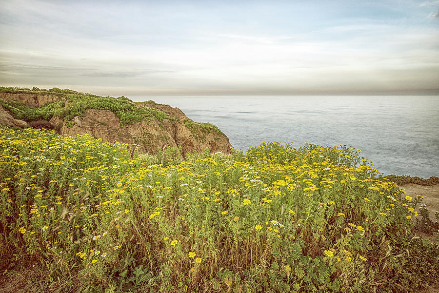 Lovely Bloom At The Cliffs #4 by Joseph S Giacalone Lovely Bloom At The Cliffs #4 by Joseph S Giacalone
