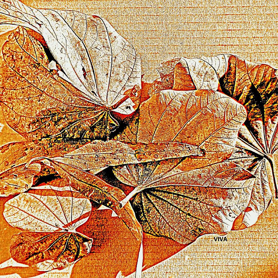 Lovely Leaves - Autumn Color by VIVA Anderson Lovely Leaves - Autumn Color by VIVA Anderson