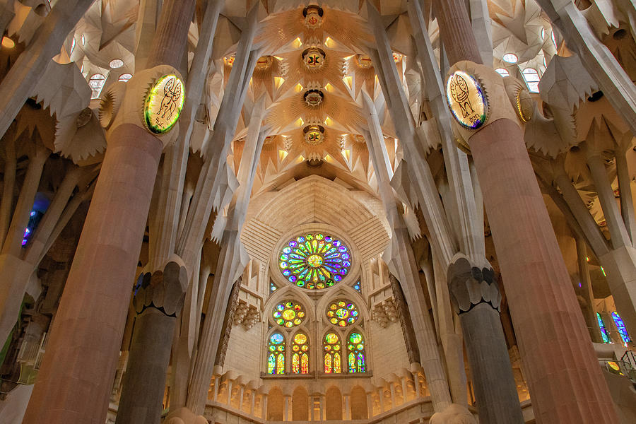 Lovely Light of Segrada Familia Photograph by Marcy Wielfaert