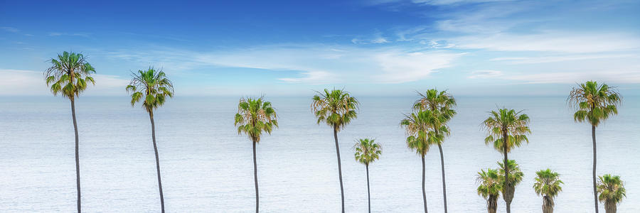 San Diego Photograph - Lovely Palm Trees At The Ocean by Melanie Viola San Diego Photograph - Lovely Palm Trees At The Ocean by Melanie Viola
