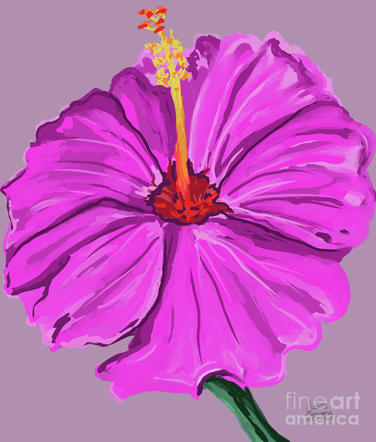 Lovely Pink Hibiscus Digital Art by Annette M Stevenson