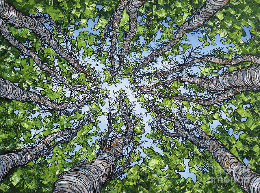 Lovely Tree View by Tracy Levesque Lovely Tree View by Tracy Levesque